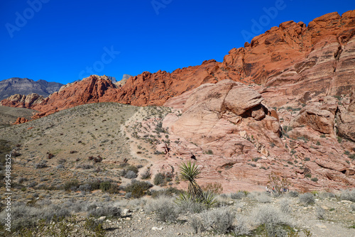 Red Rock Canyon, Nevada, USA
