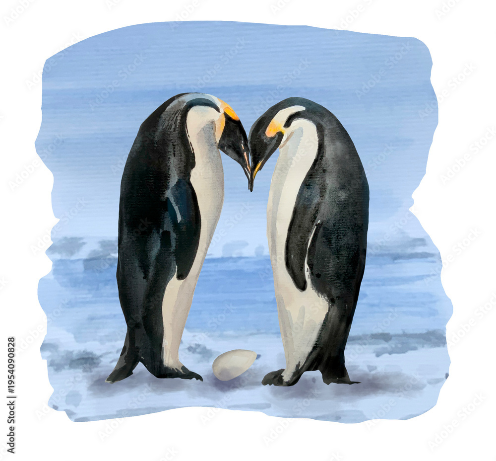 Obraz premium Penguin couple and egg blue background