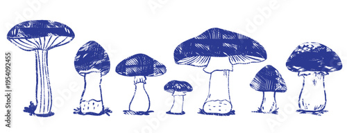 Blue ink mushroom collection: vector hand-drawn set of forest fungi, amanita, boletus. Indigo sketching with hatching, crosshatch texture, detailed gills and stems. Illustration isolated on white