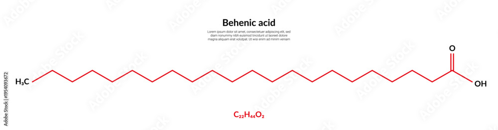 Obraz premium Behenic or docosanoic acid molecular structure formula, suitable for education or chemistry science content. Vector illustration