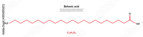 Behenic or docosanoic acid molecular structure formula, suitable for education or chemistry science content. Vector illustration