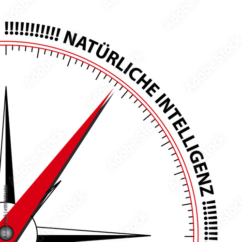 Kompass natürliche Intelligenz