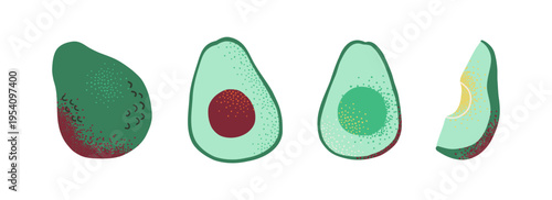 Set with whole avocado, halves of avocado and slices. Healthy vegan food. Hand drawn fruits in modern style.