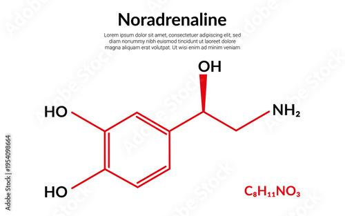 Noradrenaline or norepinephrine molecular structure formula, suitable for education or chemistry science content. Vector illustration
