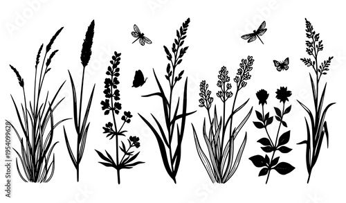 Black silhouette botanical elements with grass flowers herbs and insects hand drawn nature vector set