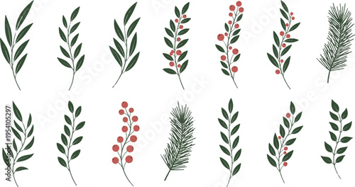 Christmas botanical winter leaf and red berry vector set. Green foliage, pine needles, and holly branches for holiday greeting and nature design.