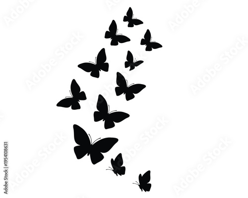 butterfly flock of butterfly