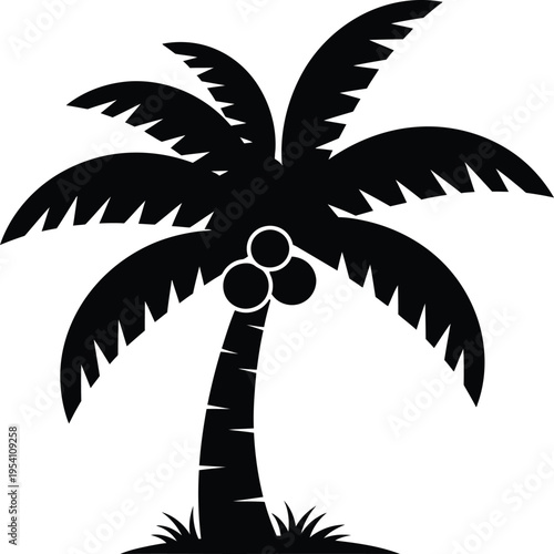 Tropical palm tree silhouette with coconuts for beach island design element