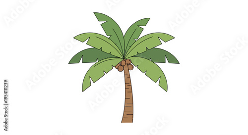 Palm tree with green leaves standing.