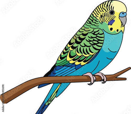 A detailed illustration of a colorful budgerigar perched on a brown branch against white background