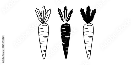 Carrot icon set with outline and solid style for vegetable ingredient healthy food concept