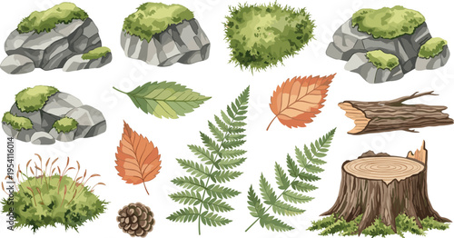 Forest nature elements vector collection featuring rocks moss leaves fern branches tree stump pine cone and grass botanical set