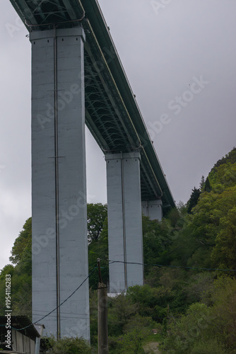 bridge over the river