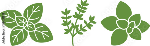 Three green leafy plant icons on transparent background