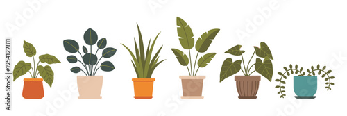 Six potted houseplants in various pots potted plant