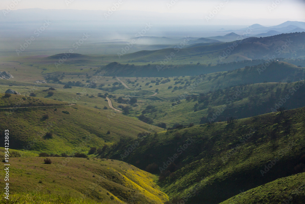 Fototapeta premium Carrizo