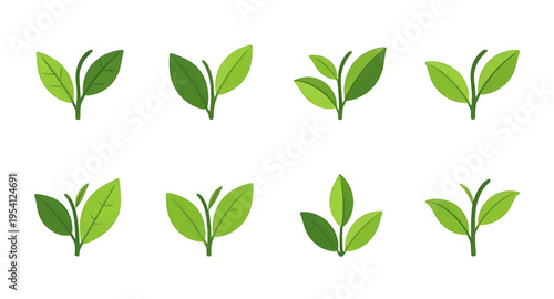 leaf logo design, eco logo design, green logo design, nature logo design, organic logo design, plant logo design, botanical logo design, herbal logo design, environment logo design, sustainable logo d