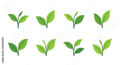 leaf, green, eco, nature, organic, plant, botanical, herbal, environment, sustainable, recycle, bio, earth, growth, fresh, clean, purity, healthy, garden, agriculture, flora, foliage, branch, sprout, 