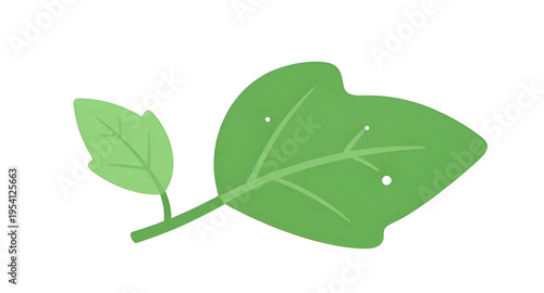 leaf, green, leaves, plant, foliage, nature, botanical, botany, garden, natural, fresh, eco, ecology, organic, environment, growth, spring, summer, herb, flora, floral, branch, stem, vein, texture, pa