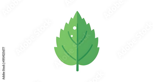 leaf, leaves, green, plant, foliage, nature, botanical, botany, garden, natural, fresh, eco, ecology, organic, environment, growth, spring, summer, herb, flora, floral, branch, stem, vein, texture, pa