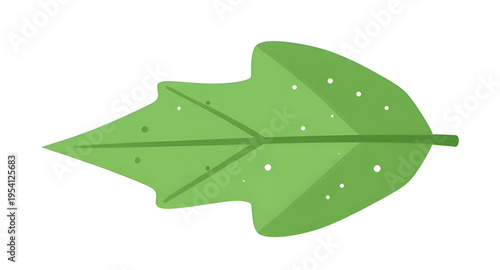 leaves, green, leaf, plant, foliage, nature, botanical, botany, garden, natural, fresh, eco, ecology, organic, environment, growth, spring, summer, herb, flora, floral, branch, stem, vein, texture, pa