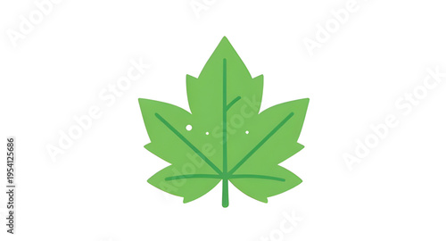 leaves, green, leaf, plant, foliage, nature, botanical, botany, garden, natural, fresh, eco, ecology, organic, environment, growth, spring, summer, herb, flora, floral, branch, stem, vein, texture, pa