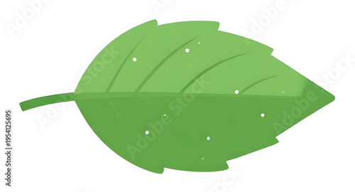 leaf, green, leaves, plant, foliage, nature, botanical, botany, garden, natural, fresh, eco, ecology, organic, environment, growth, spring, summer, herb, flora, floral, branch, stem, vein, texture, pa