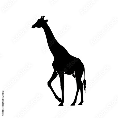 Silhouette of a giraffe walking alone.