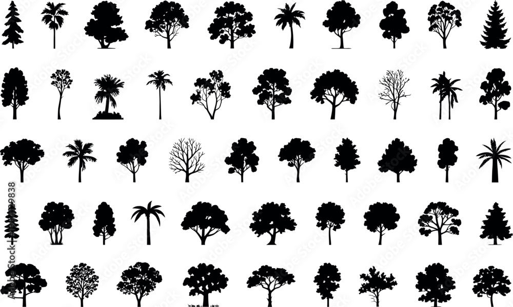 Fototapeta premium This image features a wide variety of black tree silhouettes, showcasing different shapes and sizes. Each silhouette represents a distinct species, ranging from tall pines and bushy oaks to slender pa