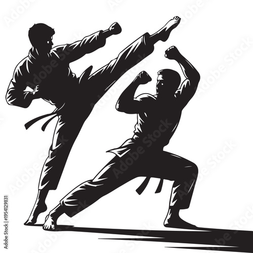Dynamic martial arts demonstration featuring two fighters in a powerful striking pose silhouette