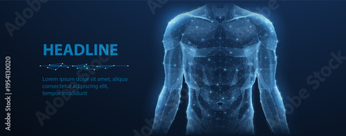 Glowing human torso wireframe on dark blue background. Medical technology, anatomy study, digital health, body scanning, futuristic healthcare, science innovation concept. 3D illustration