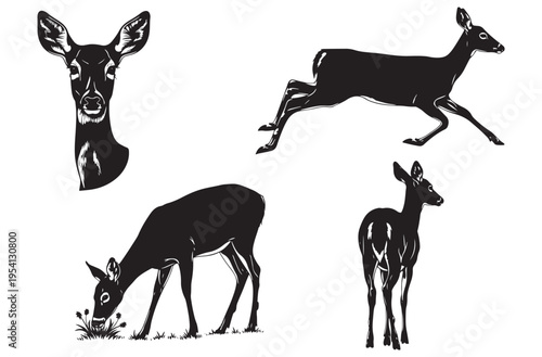 Doe deer silhouettes showing various life stages and movements including grazing running and looking back for environmental education and wildlife photography business branding