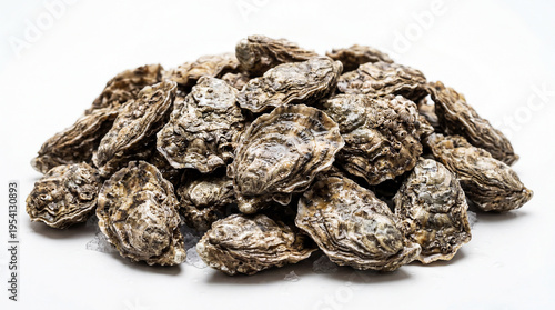 Pile of oysters on a white background. Healthy sea food concept