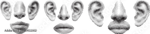 Collection of halftone rendered human facial features including ears noses and lips isolated on transparent background