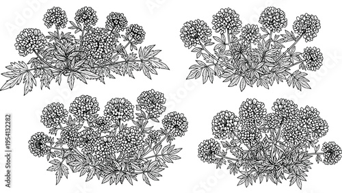 Collection of four detailed black and white line art floral bouquets is ideal for vintage botanical and wedding designs.