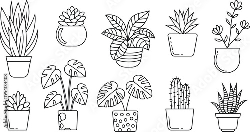 Potted Houseplants In Black And White Line Art potted plant
