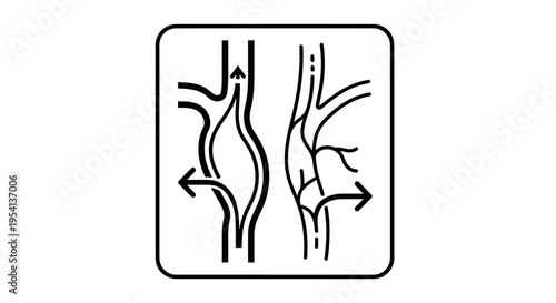 Blood Vessels Icon with Arrows Representing Flow in a Square Frame on Isolated White Background