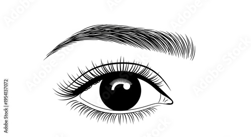 Simple illustration of a human eye with lashes and eyebrow, isolated white background.