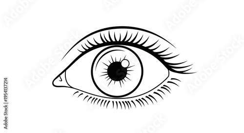 A closeup vector illustration of a beautiful human eye featuring a detailed blue and green iris with long eyelashes and a dark pupil for a vision and makeup concept