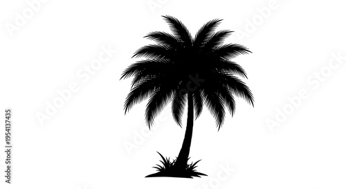 Black silhouette of a tropical palm tree isolated on white background