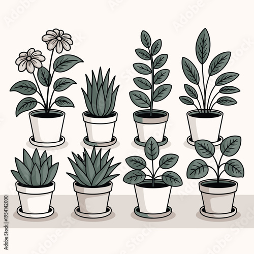 Collection of potted houseplants with diverse leaf shapes and textures, minimalist illustration in muted colors, potted plants