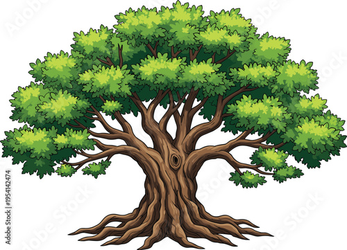 Large Green Oak Tree Illustration with Thick Branches and Exposed Roots Isolated on White Background for Nature and Environment Design