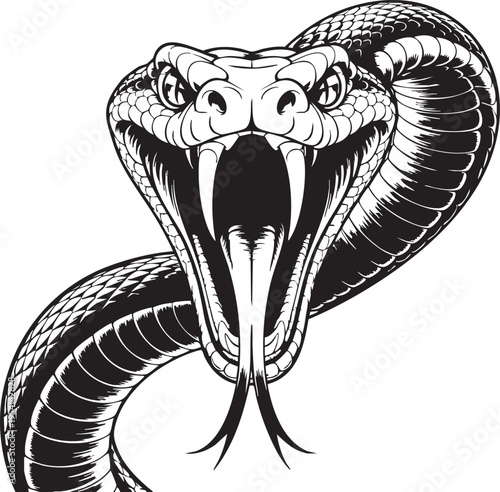 Detailed illustration of a menacing cobra snake with open mouth and sharp fangs on white background