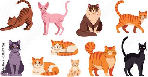 Collection of cute cats and kittens in various playful and sleepy poses