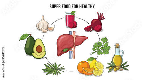 Educational infographic about superfoods for healthy liver featuring garlic beets avocado citrus olive oil and cilantro with liver diagram.