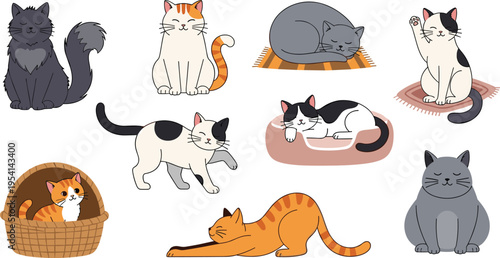 Collection of cute kittens and cats in various standing and sitting poses