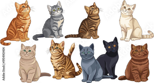 Collection of cute kittens and cats sitting in various colors and breeds
