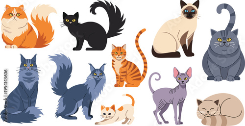 Collection of different cat breeds in various poses and colors