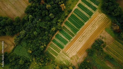Expansive Aerial View of Lush Green Agricultural Fields Under Natural Sunlight Showcasing Sustainable Farming Practices