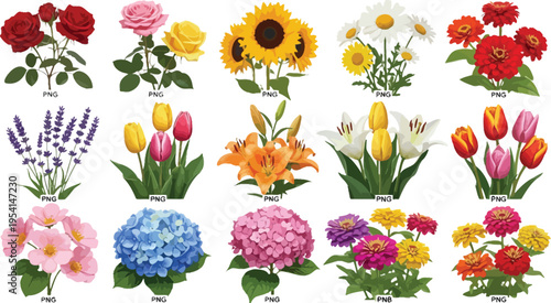 A vibrant collection of diverse and colorful flowers arranged neatly in a grid layout